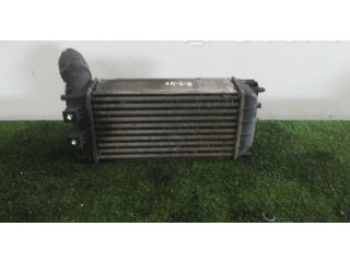 Интеркулер     Citroen DS4 