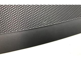 Дисплей 110113600F, 4700207098 Tesla Model Y