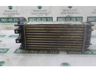 Интеркулер     Peugeot Partner 