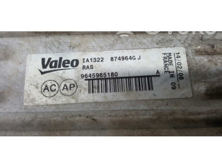 Интеркулер  0384G5, E256083   Peugeot Partner 