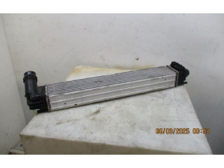 Интеркулер  8200880552, 8200880552   Dacia Duster 