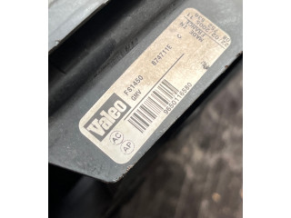 Вентилятор радиатора     FS1450, 9650116580    Citroen C4 I 