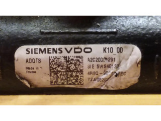 Топливная рампа A2C20001291, 5WS40130 Jaguar S-Type 2.7