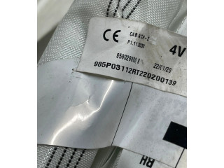 Боковая подушка безопасности    Dacia Spring