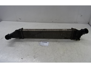 Интеркулер 8200424155, 8200424155 Dacia Logan I