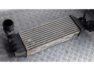 Интеркулер 1489396080, 15095 Citroen C8 2.0