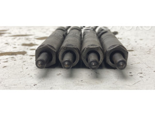 Форсунка 8200365186, 8200365186    Renault Clio III   