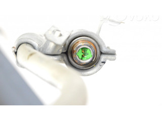 Надувная подушка для крыши