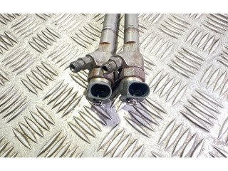 Комплект форсунок A6400700787, 0445110 Mercedes-Benz A W169