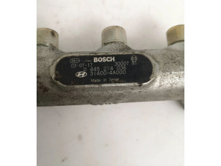 Топливная рампа 0445214036, 314004A000 KIA Sorento