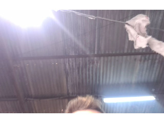 Подушка безопасности водителя 091T21130558   Renault Clio I