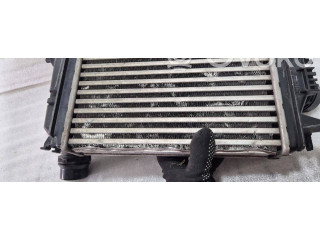 Интеркулер     Renault Dacia Duster 