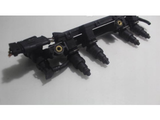 Топливная рампа Renault Clio II