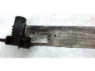 Интеркулер     Citroen Nemo 