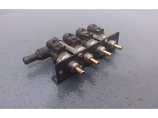 Vstřikovací lišta 67R-016407, 67R-016407 Renault Vel Satis