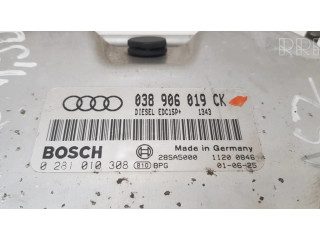 Блок управления двигателем Блок управления 038906019CK, 0281010308 Audi A3 S3 8L