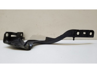 Петля (петли) капота двигателя