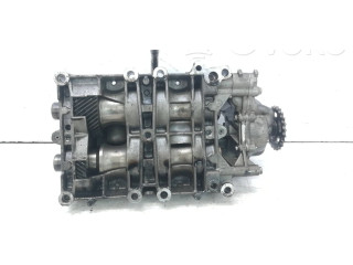 Čerpadlo oleje 9636898380, 624303 Citroen C6 4HS