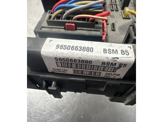 Модуль управления BSM 9650663880, 31307164 Citroen C8