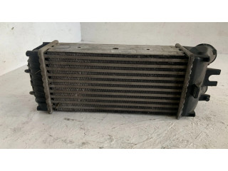 Интеркулер Citroen Xsara Picasso 1.6