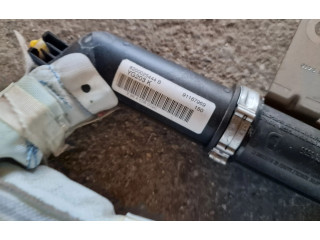 Боковая подушка безопасности 8200025444B   Renault Trafic II (X83)