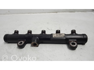 Топливная рампа 9681649580 Citroen C4 Grand Picasso 2.0