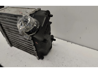 Интеркулер     Renault Twingo II 