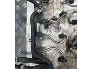 Комплект системы впрыска топлива 059130277cd, 059130755cb    Audi A6 S6 C7 4G  CLA 