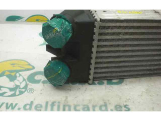 Интеркулер Citroen Xsara Picasso 1.6