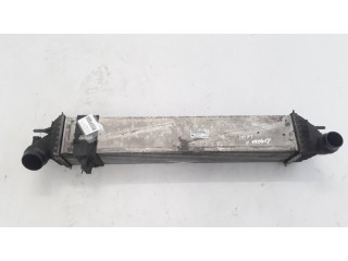 Интеркулер  144960001R, M4925005   Renault Laguna III 2.0