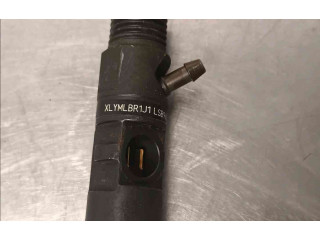 Форсунка 132111045242    Renault Twingo II   