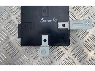 Блок управления 954003E310, S436500071 KIA Sorento