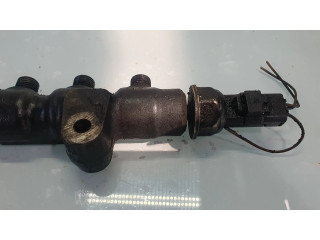 Топливная рампа    Peugeot Partner 1.9 