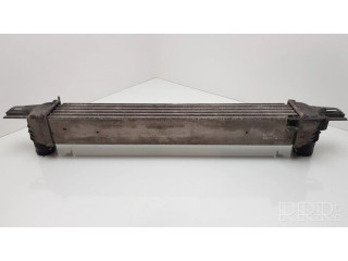 Интеркулер 51790623, L8119001 Citroen Nemo 1.4