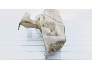 Бачок оконной жидкости    