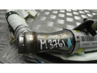 Боковая подушка безопасности DM5114K158CF, M3761   Ford Focus