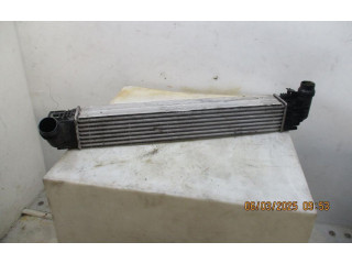 Интеркулер  8200880552, 8200880552   Dacia Duster 