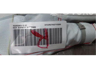 Боковая подушка безопасности 6V0880742E   Skoda Fabia Mk3 (NJ)