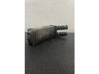 Интеркулер Citroen Berlingo