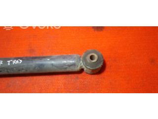 Задняя пневматическая (воздушная) подушка с амортизатором