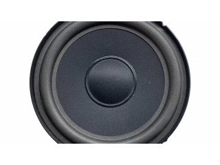 Громкоговоритель (громкоговорители) в передних дверях