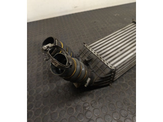 Интеркулер     Citroen C5 