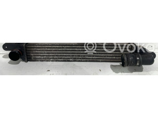 Интеркулер 52414109, 52414109 Opel Meriva A