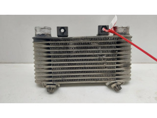 Интеркулер 4518371 Ford Ranger 2.5