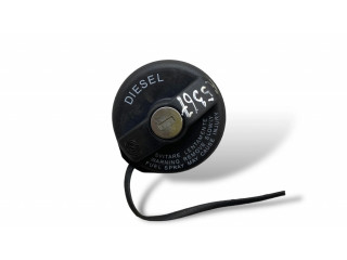 Řídící jednotka 55249211, 85HPEU5B Fiat Punto (199) 2013