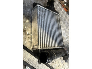 Интеркулер Dacia Duster