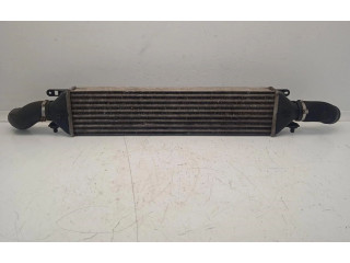 Интеркулер  866455500, 866455500   Fiat Punto (199) 