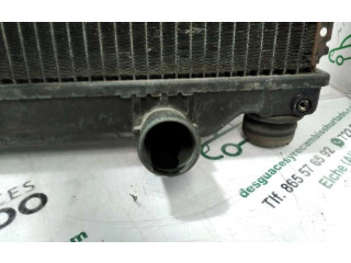 Радиатор охлаждающей жидкости 1220003650, RADIADORAGUA Honda Accord