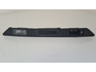 Отделка номерного знака