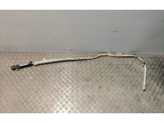 Надувная подушка для крыши       Audi A6 S6 C5 4B  1997 - 2005 года   